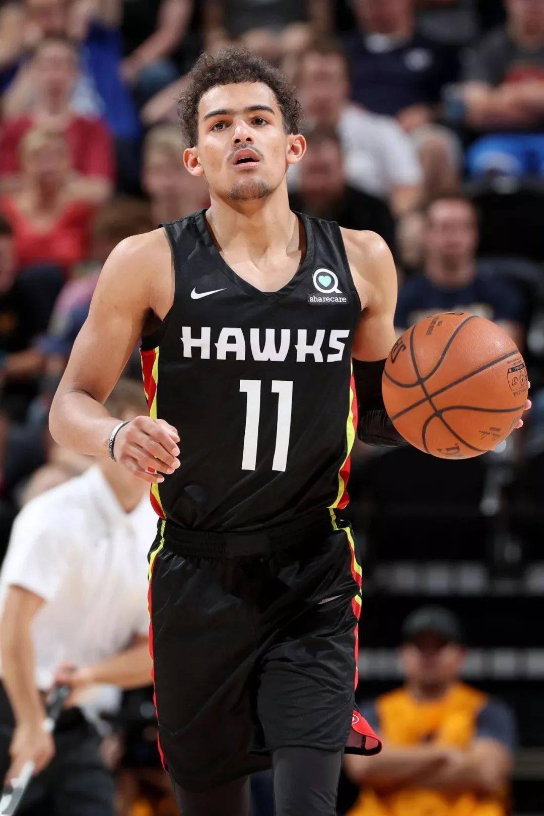 是因为它们 是因为它们