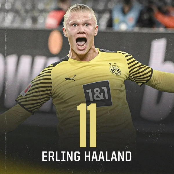 解析道奇在 解析道奇在